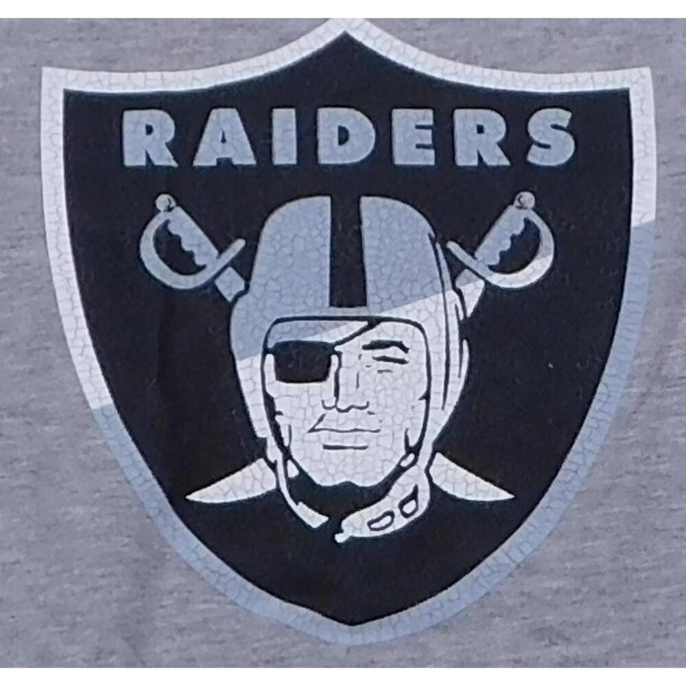 Las Vegas Raiders Men's Gray & Black T-Shirt Official NFL Apparel LARGE